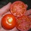 TOMATE / PARADEISER