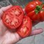 TOMATE / PARADEISER