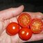 TOMATE / PARADEISER