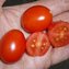 TOMATE / PARADEISER