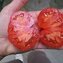 TOMATE / PARADEISER