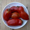 TOMATE / PARADEISER