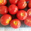 TOMATE / PARADEISER