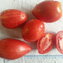 TOMATE / PARADEISER