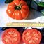 TOMATE / PARADEISER