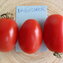 TOMATE / PARADEISER