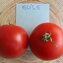 TOMATE / PARADEISER