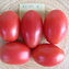 TOMATE / PARADEISER