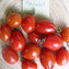 TOMATE / PARADEISER