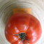 TOMATE / PARADEISER